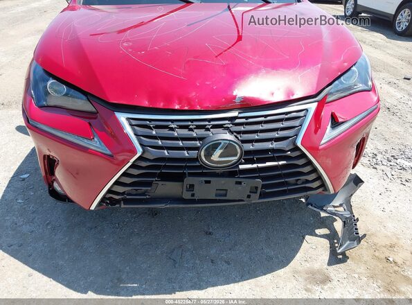 JTJBARBZ9K2185319 2019 LEXUS NX 300 Red Widok z przodu