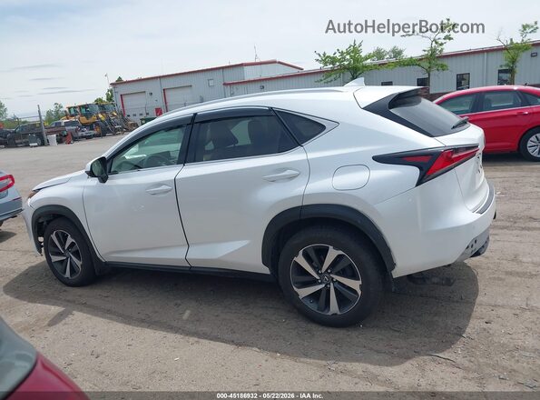 JTJBARBZ9K2210946 2019 LEXUS NX 300 Белый Панорамный вид салона 360°