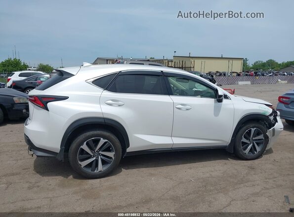 JTJBARBZ9K2210946 2019 LEXUS NX 300 Белый Вид задней части салона