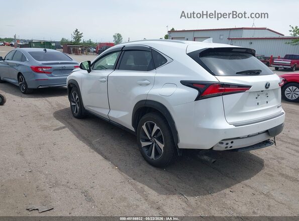 JTJBARBZ9K2210946 2019 LEXUS NX 300 Белый Задняя левая четверть
