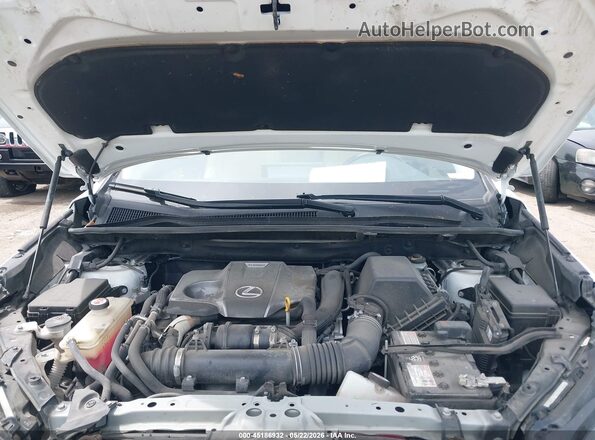 JTJBARBZ9K2210946 2019 LEXUS NX 300 Белый Вид сзади