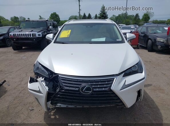 JTJBARBZ9K2210946 2019 LEXUS NX 300 Белый Вид щитка приборов