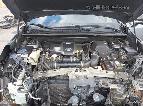 JTJBARBZXG2074558 2016 LEXUS NX 200T Gray Հետևի տեսք