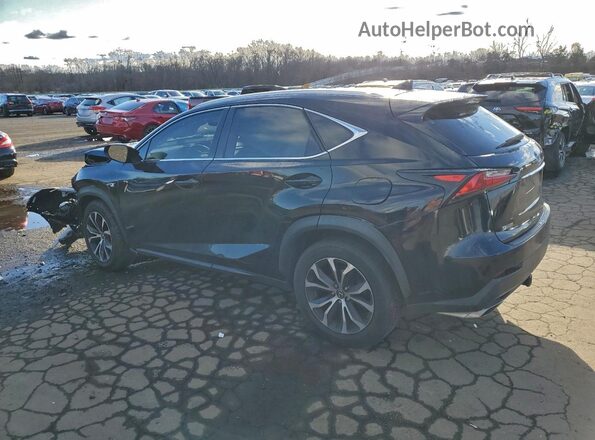 JTJBARBZXH2139619 2017 LEXUS NX 200T Black Задня ліва чверть
