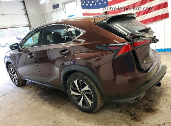 JTJBARBZXK2214486 2019 LEXUS NX Brown Trasero izquierdo