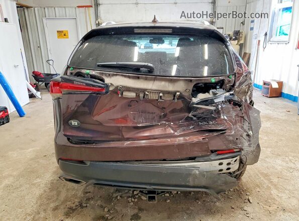 JTJBARBZXK2214486 2019 LEXUS NX Brown Vista trasera