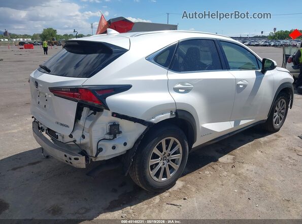 JTJBJRBZ1K2108878 2019 LEXUS NX 300H White Հետևի աջ