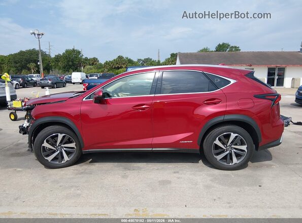 JTJBJRBZ3K2118828 2019 LEXUS NX 300H Red 