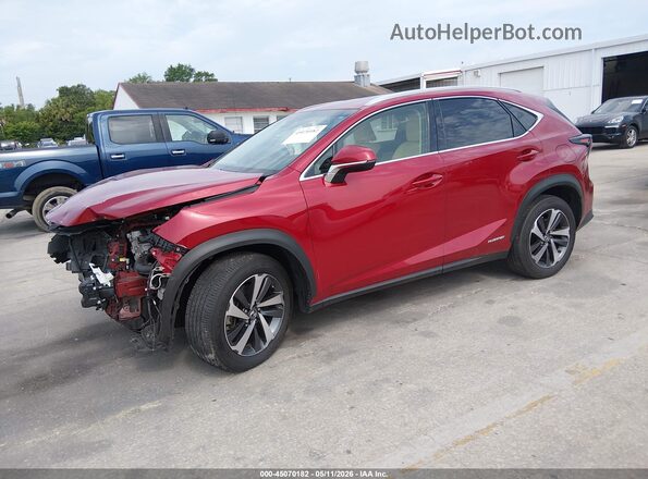 JTJBJRBZ3K2118828 2019 LEXUS NX 300H Red Передня ліва чверть