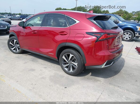 JTJBJRBZ3K2118828 2019 LEXUS NX 300H Red Задня ліва чверть