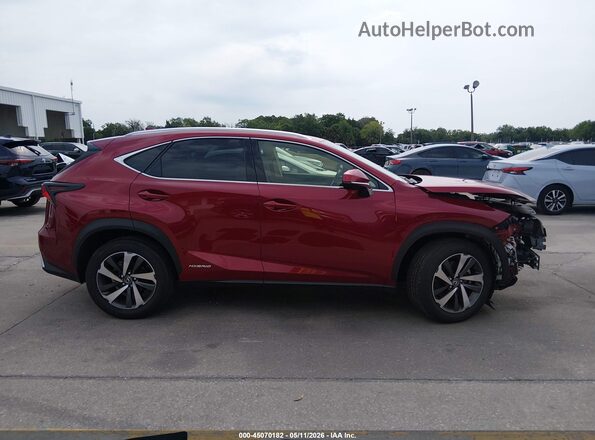 JTJBJRBZ3K2118828 2019 LEXUS NX 300H Red Панорамний вид салону 360°