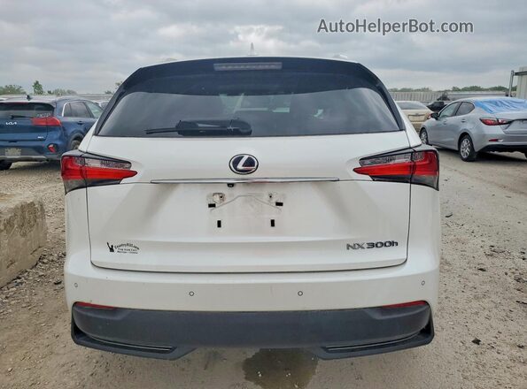 JTJBJRBZ8H2069893 2017 LEXUS NX White Հետևի տեսք