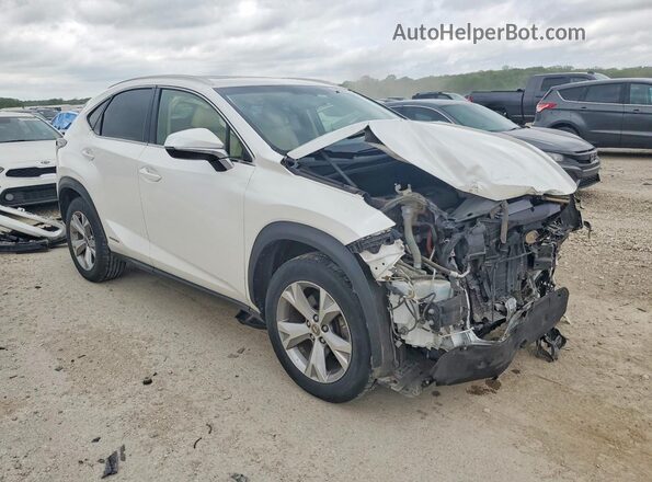 JTJBJRBZ8H2069893 2017 LEXUS NX White Առջևի աջ