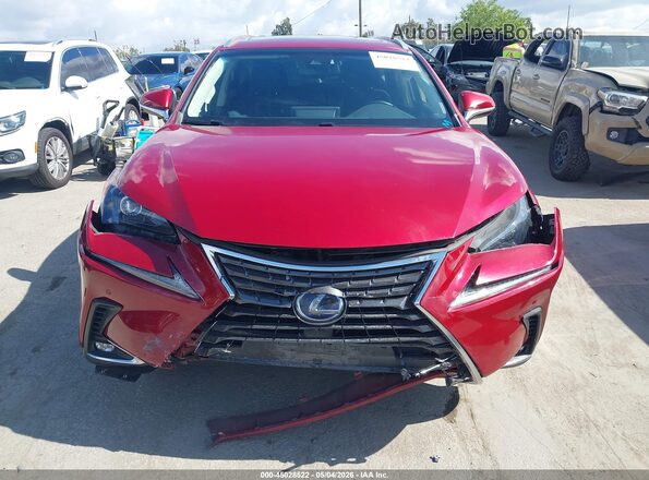 JTJBJRBZ9K2118767 2019 LEXUS NX 300H Red Instrument cluster view