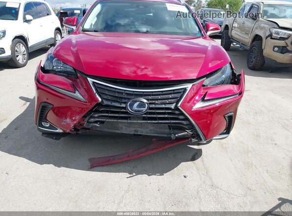 JTJBJRBZ9K2118767 2019 LEXUS NX 300H Red Front view