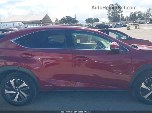 JTJBJRBZ9K2118767 2019 LEXUS NX 300H Red Rear interior view