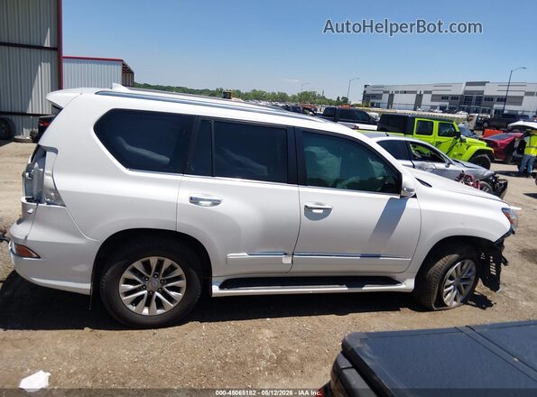 JTJBM7FX9J5201889 2018 LEXUS GX 460 White უკანა სალონის ხედი