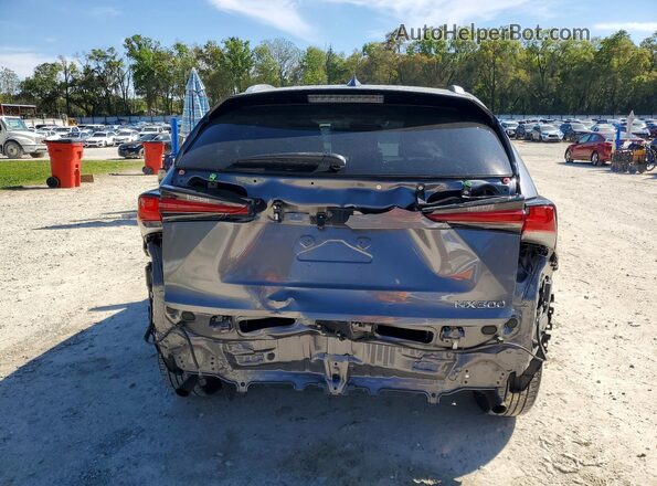 JTJDARBZ3L5004014 2020 LEXUS NX Gray Widok z tyłu