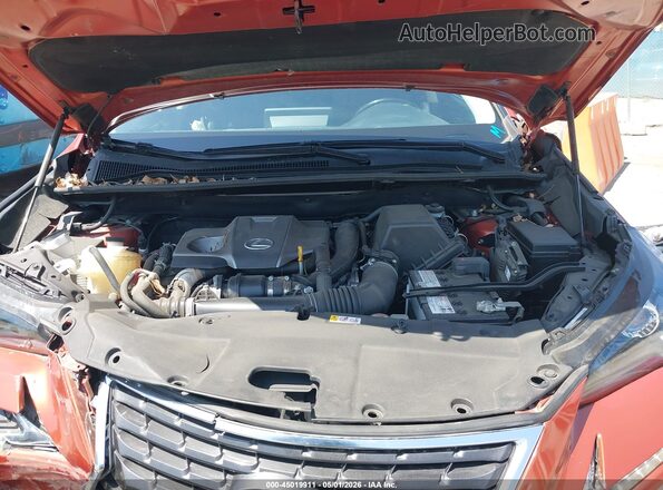 JTJDARBZ4M2198989 2021 LEXUS NX 300 Orange Vista trasera