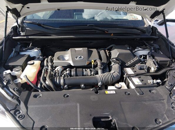 JTJDARBZ5M5027523 2021 LEXUS NX 300 White Widok z tyłu