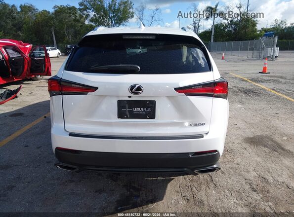 JTJDARBZ5M5027523 2021 LEXUS NX 300 White 