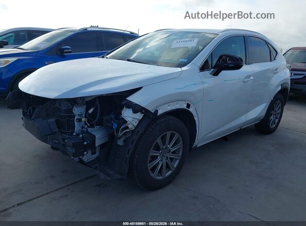 JTJDARBZ9M5025256 2021 LEXUS NX 300 White Առջևի ձախ երեք քառորդ տեսարան