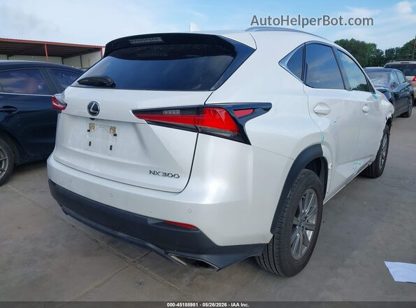 JTJDARBZ9M5025256 2021 LEXUS NX 300 White Հետևի աջ