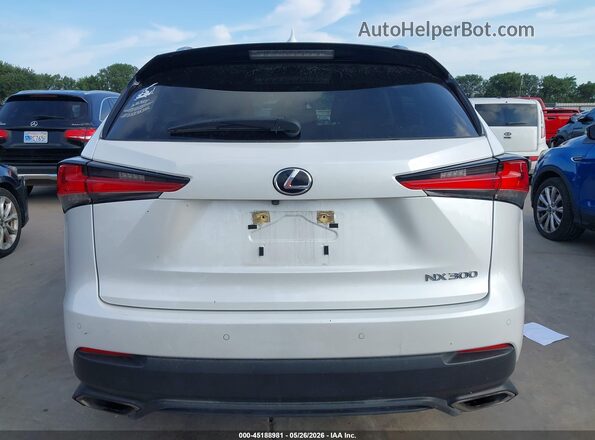 JTJDARBZ9M5025256 2021 LEXUS NX 300 White 