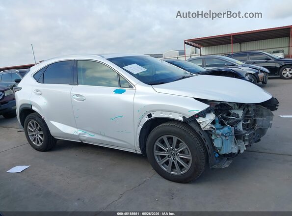 JTJDARBZ9M5025256 2021 LEXUS NX 300 White Սալոնի 360 աստիճան տեսք
