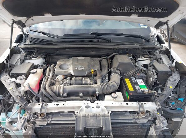JTJDARBZ9M5025256 2021 LEXUS NX 300 White Հետևի տեսք