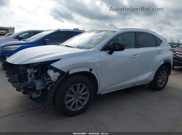 JTJDARBZ9M5025256 2021 LEXUS NX 300 White 