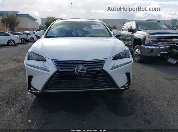JTJDARBZXM5027713 2021 LEXUS NX 300 White 