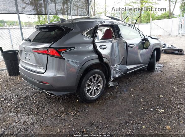JTJDARDZ0M2236649 2021 LEXUS NX 300 Gray 