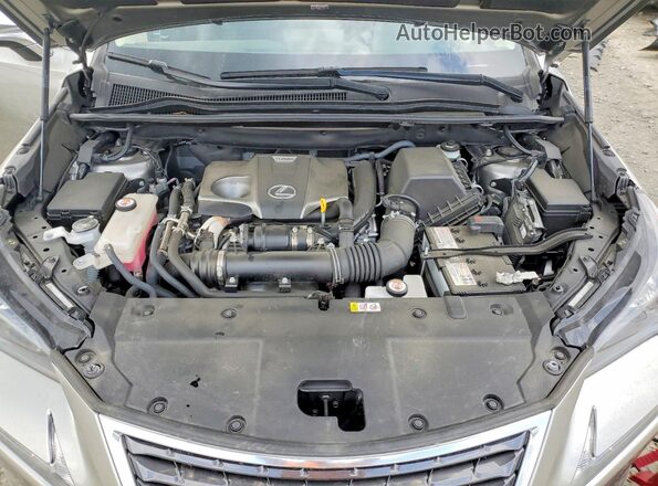 JTJDARDZ1M2253699 2021 LEXUS NX Silver Вид задньої частини салону