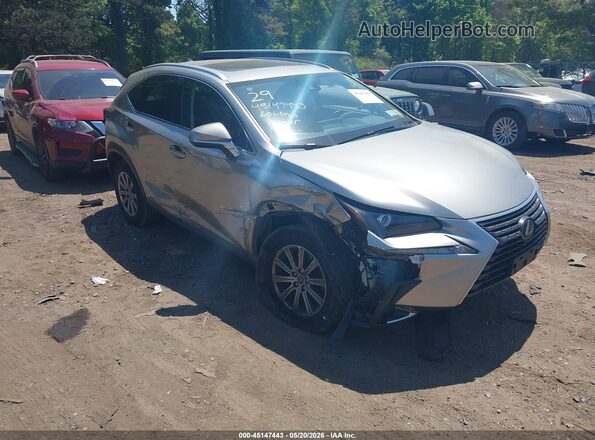 JTJDARDZ2L5012702 2020 LEXUS NX Gray Widok z przodu