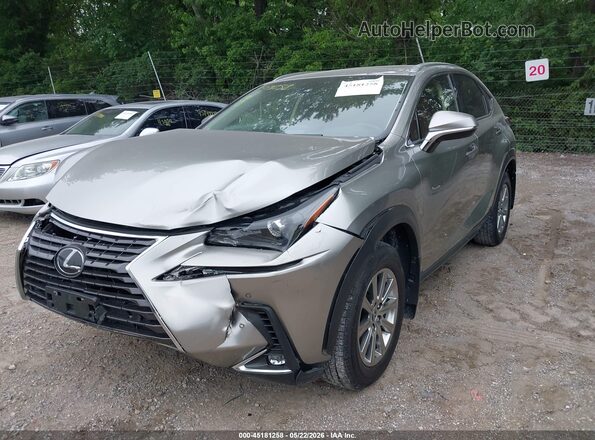 JTJDARDZ2M2258619 2021 LEXUS NX 300 Gray Передня ліва чверть