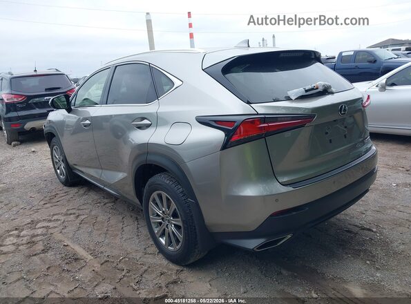 JTJDARDZ2M2258619 2021 LEXUS NX 300 Gray Задня ліва чверть