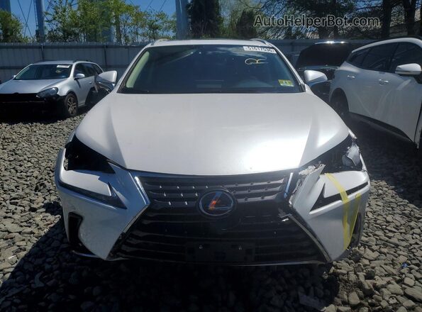 JTJDARDZ6M5024062 2021 LEXUS NX White Widok z przodu