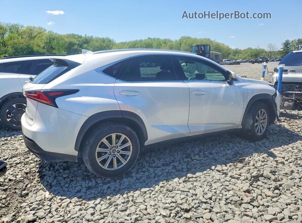 JTJDARDZ6M5024062 2021 LEXUS NX White Tył prawy