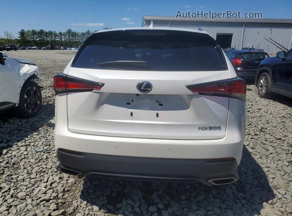 JTJDARDZ6M5024062 2021 LEXUS NX White Widok z tyłu