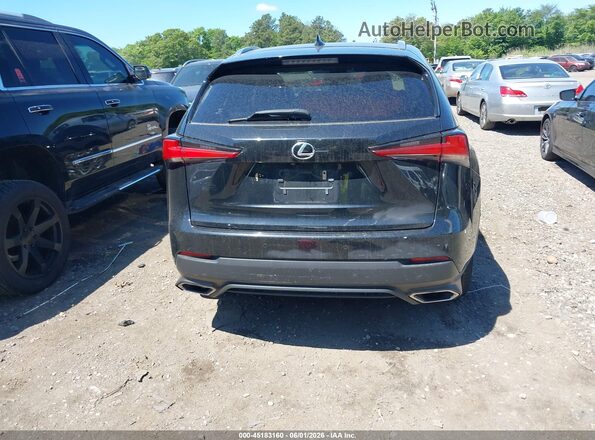 JTJDARDZ8M2250511 2021 LEXUS NX 300 Black 
