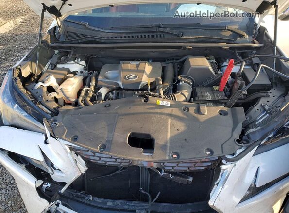JTJDARDZ8M5027884 2021 LEXUS NX White Widok komory silnika