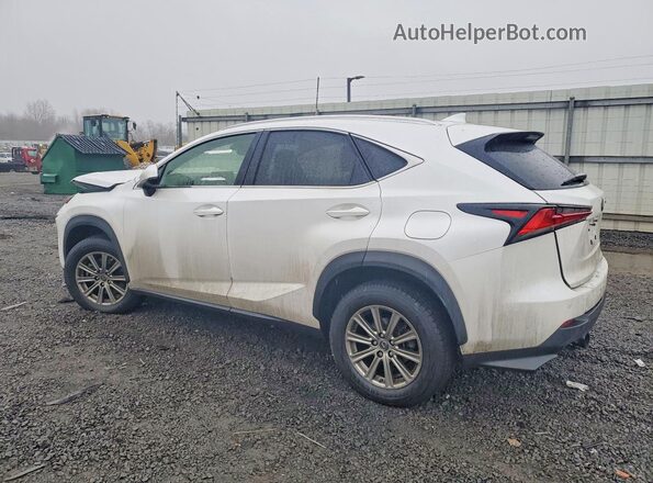JTJDARDZ8M5027884 2021 LEXUS NX White Tył lewy
