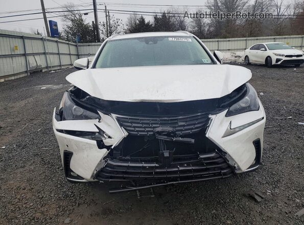 JTJDARDZ8M5027884 2021 LEXUS NX White Widok z przodu