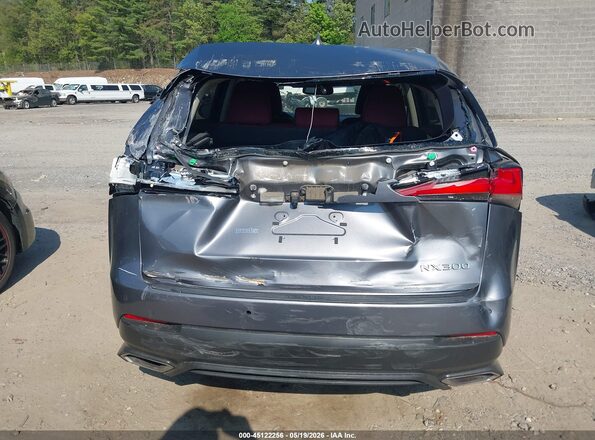 JTJDARDZXL2232929 2020 LEXUS NX 300 Gray Դիմացի տեսք