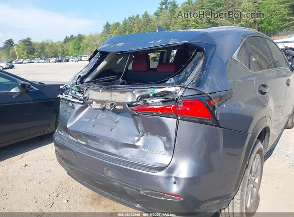 JTJDARDZXL2232929 2020 LEXUS NX 300 Gray 