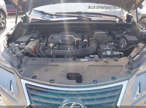 JTJDARDZXL2232929 2020 LEXUS NX 300 Gray Հետևի տեսք