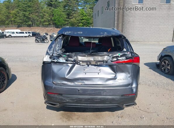 JTJDARDZXL2232929 2020 LEXUS NX 300 Gray 