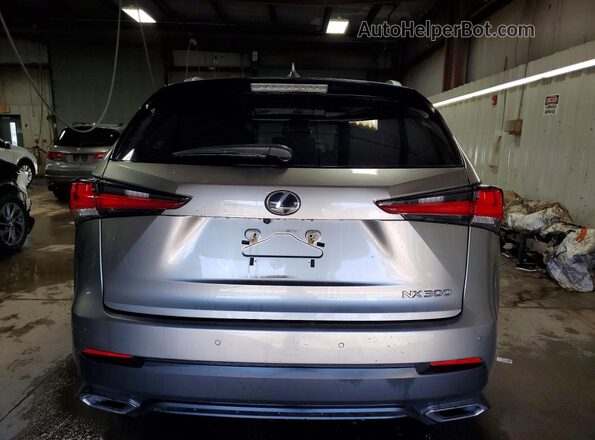 JTJDARDZXM2248212 2021 LEXUS NX Silver Вид ззаду