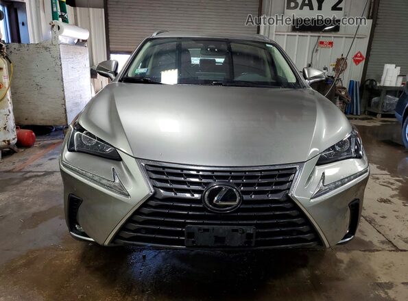 JTJDARDZXM2248212 2021 LEXUS NX Silver Вид спереду